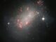 Hubble-Aufnahme der irregulären Zwerggalaxie NGC 1156. (Credits: ESA / Hubble & NASA, R. B. Tully, R. Jansen, R. Windhorst)