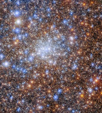 Hubble-Aufnahme vom Zentrum des Kugelsternhaufens Terzan 4. (Credits: ESA / Hubble & NASA, R. Cohen) Hubble-Aufnahme vom Zentrum des Kugelsternhaufens Terzan 4. (Credits: ESA / Hubble & NASA, R. Cohen)