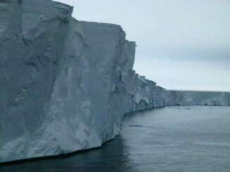 Die heutige Eisfront des Pine-Island-Gletschers ist rund 50-60 Meter hoch. (Credits: Photo credit: Robert Larter)