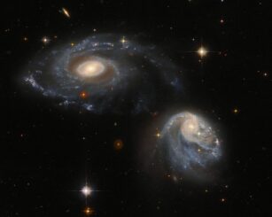 Aufnahme des interagierenden Galaxienpaars Arp-Madore 608-333, basierend auf Daten des Víctor M. Blanco 4-Meter Telescope und Hubble . (Credits: ESA / Hubble & NASA, Dark Energy Survey / DOE / FNAL / DECam / CTIO / NOIRLab / NSF / AURA, J. Dalcanton)