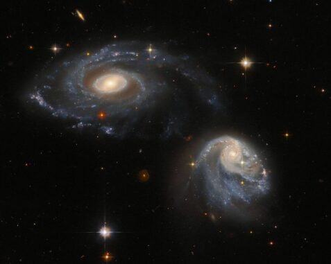 Aufnahme des interagierenden Galaxienpaars Arp-Madore 608-333, basierend auf Daten des Víctor M. Blanco 4-Meter Telescope und Hubble . (Credits: ESA / Hubble & NASA, Dark Energy Survey / DOE / FNAL / DECam / CTIO / NOIRLab / NSF / AURA, J. Dalcanton) Aufnahme des interagierenden Galaxienpaars Arp-Madore 608-333, basierend auf Daten des Víctor M. Blanco 4-Meter Telescope und Hubble . (Credits: ESA / Hubble & NASA, Dark Energy Survey / DOE / FNAL / DECam / CTIO / NOIRLab / NSF / AURA, J. Dalcanton)