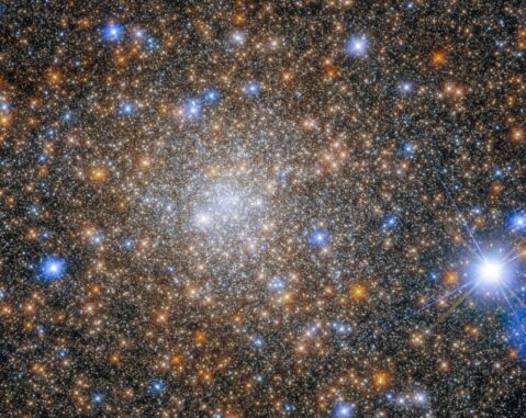 Hubble-Aufnahme des Kugelsternhaufens Terzan 1. (Credits: ESA / Hubble & NASA, R. Cohen) Hubble-Aufnahme des Kugelsternhaufens Terzan 1. (Credits: ESA / Hubble & NASA, R. Cohen)