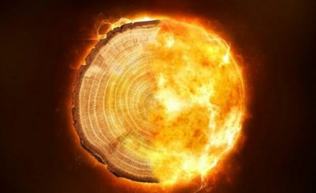 Kompositbild aus einem Baumring und Flammen. (Credits: University of Queensland)