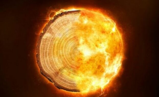 Kompositbild aus einem Baumring und Flammen. (Credits: University of Queensland) Kompositbild aus einem Baumring und Flammen. (Credits: University of Queensland)