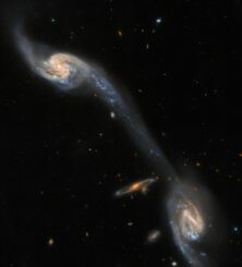 Aufnahme der interagierenden Galaxien Arp 248, erstellt aus Daten von Hubble und dem Victor M. Blanco 4-Meter-Teleskop. (Credits: ESA / Hubble & NASA, Dark Energy Survey / DOE / FNAL / DECam / CTIO / NOIRLab / NSF / AURA, J. Dalcanton)