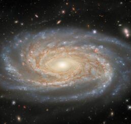 Hubble-Aufnahme der Spiralgalaxie NGC 7038. (Credits: ESA / Hubble & NASA, D. Jones; Acknowledgement: G. Anand, L. Shatz)