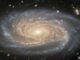 Hubble-Aufnahme der Spiralgalaxie NGC 7038. (Credits: ESA / Hubble & NASA, D. Jones; Acknowledgement: G. Anand, L. Shatz)