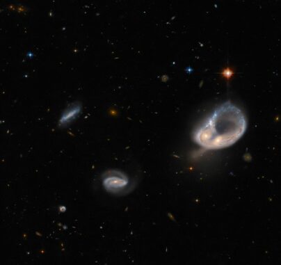 Arp-Madore 417-391, erstellt aus Daten des Weltraumteleskops Hubble und des Victor M. Blanco 4-Meter-Teleskop. (Credits: ESA / Hubble & NASA, Dark Energy Survey / DOE / FNAL / DECam / CTIO / NOIRLab / NSF / AURA, J. Dalcanton) Arp-Madore 417-391, erstellt aus Daten des Weltraumteleskops Hubble und des Victor M. Blanco 4-Meter-Teleskop. (Credits: ESA / Hubble & NASA, Dark Energy Survey / DOE / FNAL / DECam / CTIO / NOIRLab / NSF / AURA, J. Dalcanton)