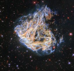 Hubble-Aufnahme des Supernova-Überrests DEM L 190 in der Großen Magellanschen Wolke. (Credits: ESA / Hubble & NASA, S. Kulkarni, Y. Chu)