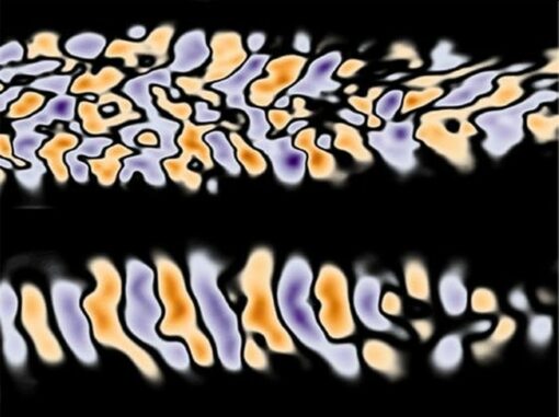 Konturen von Magnetfeldern, die infolge der Selbstorganisation von mikroskopischen Strömen aufgrund der Weibel-Instabilität entstanden. (Credits: Image courtesy of Chaojie Zhang, University of California Los Angeles)