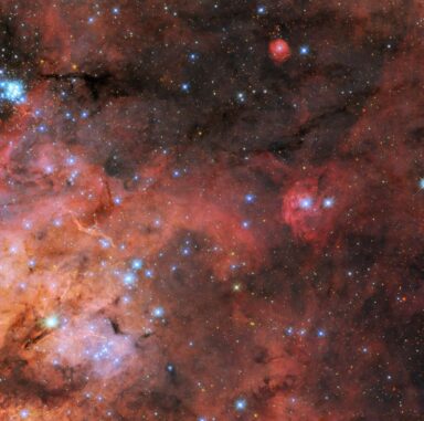 Hubble-Aufnahme einer Region des Tarantelnebels in der Großen Magellanschen Wolke. (Credits: ESA / Hubble & NASA, C. Murray, E. Sabbi; Acknowledgement: Y.-H. Chu) Hubble-Aufnahme einer Region des Tarantelnebels in der Großen Magellanschen Wolke. (Credits: ESA / Hubble & NASA, C. Murray, E. Sabbi; Acknowledgement: Y.-H. Chu)