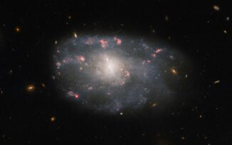 Hubble-Aufnahme der irregulären Spiralgalaxie NGC 5486. (Credits: ESA / Hubble & NASA, C. Kilpatrick)