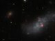 Hubble-Aufnahme der diffusen Zwerggalaxie UGCA 307. (Credits: ESA / Hubble & NASA, R. Tully)