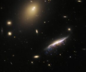 Hubble-Aufnahme der Quallengalaxie JW100. (Credits: ESA / Hubble & NASA, M. Gullieuszik and the GASP team)