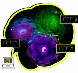 Illustration der Supernovae der ersten Sterne und der beobachteten Spektren von extrem metallarmen Sternen. (Credit: Kavli IPMU)