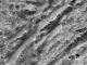 Oberflächenstrukturen auf dem Jupitermond Ganymed, aufgenommen von der Raumsonde Galileo. (Credits: NASA / JPL-Caltech / Brown University)