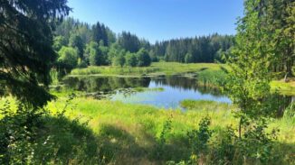 Ein See in Schweden (Credit: Photo: Charlie Cornwallis)