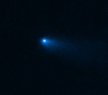 Der Komet 238/P (Read), aufgenommen von der Near-Infrared Camera an Bord des James Webb Space Telescope. (Credits: NASA, ESA, CSA, M. Kelley (University of Maryland). Image processing: H. Hsieh (Planetary Science Institute), A. Pagan (STScI)) Der Komet 238/P (Read), aufgenommen von der Near-Infrared Camera an Bord des James Webb Space Telescope. (Credits: NASA, ESA, CSA, M. Kelley (University of Maryland). Image processing: H. Hsieh (Planetary Science Institute), A. Pagan (STScI))
