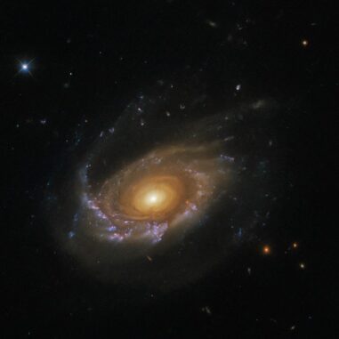 Hubble-Aufnahme der Quallengalaxien JW39. (Credits: ESA / Hubble & NASA, M. Gullieuszik and the GASP team)