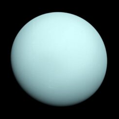 Der Eisriese Uranus, aufgenommen im Jahr 1986 von der Raumsonde Voyager 2. (Credits: NASA / JPL-Caltech)