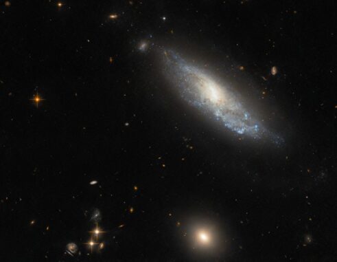 Hubble-Aufnahme der Spiralgalaxie NGC 298. (Credits: ESA / Hubble & NASA, C. Kilpatrick)
