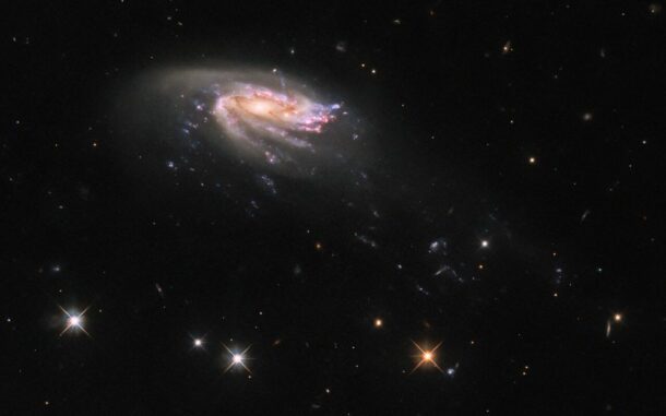 Hubble-Aufnahme der Quallengalaxie JO206. (Credits: ESA / Hubble & NASA, M. Gullieuszik and the GASP team)