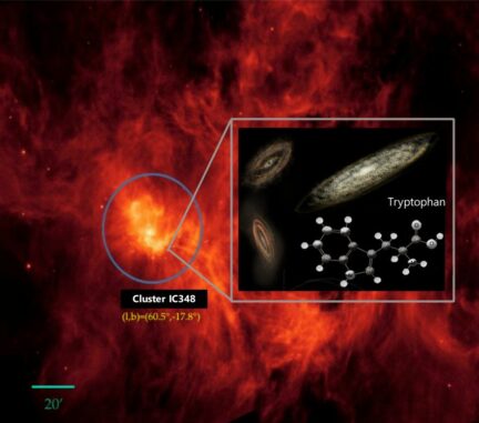 Illustration von Tryptophan-Molekülen im Perseus-Molekülkomplex. (Credits: Jorge Rebolo-Iglesias. Background image: NASA / Spitzer Space Telescope) Illustration von Tryptophan-Molekülen im Perseus-Molekülkomplex. (Credits: Jorge Rebolo-Iglesias. Background image: NASA / Spitzer Space Telescope)
