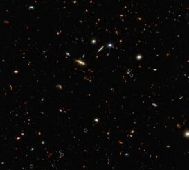 Eine Tiefenbeobachtung der NIRCam an Bord des James Webb Space Telescope. Die markierten Galaxien liegen in einer filamentartigen Struktur im frühen Universum. (Credits: NASA, ESA, CSA, Feige Wang (University of Arizona), and Joseph DePasquale (STScI))