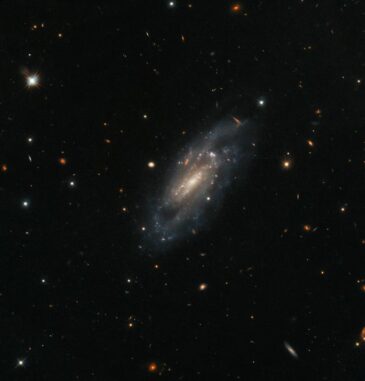 Hubble-Aufnahme der Spiralgalaxie UGC 11860. (Credits: ESA / Hubble & NASA, A. Filippenko, J. D. Lyman) Hubble-Aufnahme der Spiralgalaxie UGC 11860. (Credits: ESA / Hubble & NASA, A. Filippenko, J. D. Lyman)