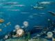 Illustration eines urzeitlichen marinen Ökosystems. (Credits: Smithsonian Institution)