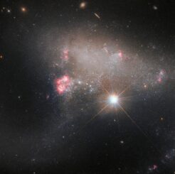 Hubble-Aufnahme der irregulären Galaxie Arp 263. (Credits: ESA / Hubble & NASA, J. Dalcanton, A. Filippenko)