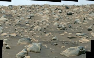 Mosaik aus Aufnahmen der Mastcam-Z-Kamera vom 6. Juli 2023. Die Roverspuren in der Mitte vermitteln die Größenverhältnisse der Steine. (Credits: NASA / JPL-Caltech / ASU / MSSS)