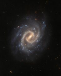 Hubble-Aufnahme der Spiralgalaxie UGC 12295. (Credits: ESA / Hubble & NASA, A. Filippenko, J. Lyman)