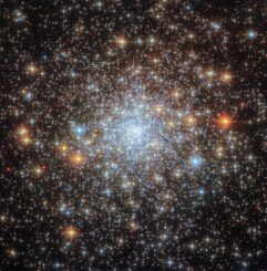 Hubble-Aufnahme des Kugelsternhaufens NGC 6652. (Credits: ESA / Hubble & NASA, A. Sarajedini, G. Piotto)