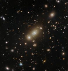 Hubble-Aufnahme eines Galaxienhaufens mit zahlreichen elliptischen Galaxien. (Credits: ESA / Hubble & NASA, H. Ebeling)