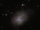 Hubble-Aufnahme der irregulären Galaxie ESO 300-16. (Credits: ESA / Hubble & NASA, R. Tully)