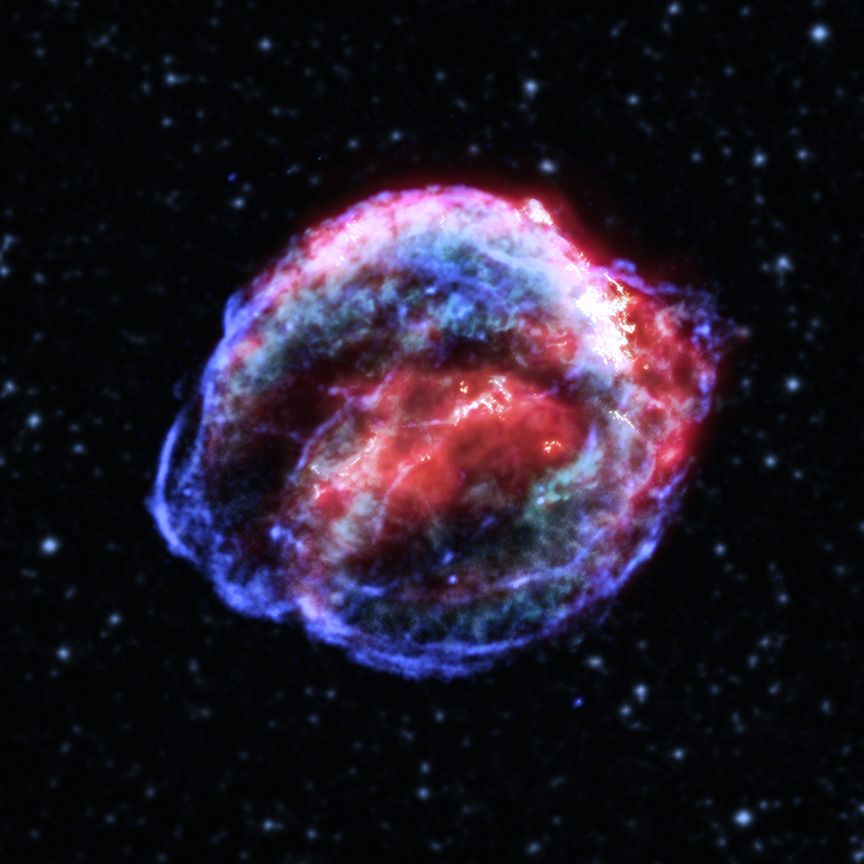 Der Überrest von Keplers Supernova. (Credits: NASA / CXC / SAO, JPL-Caltech, MSFC, STScI, ESA / CSA, SDSS, ESO)