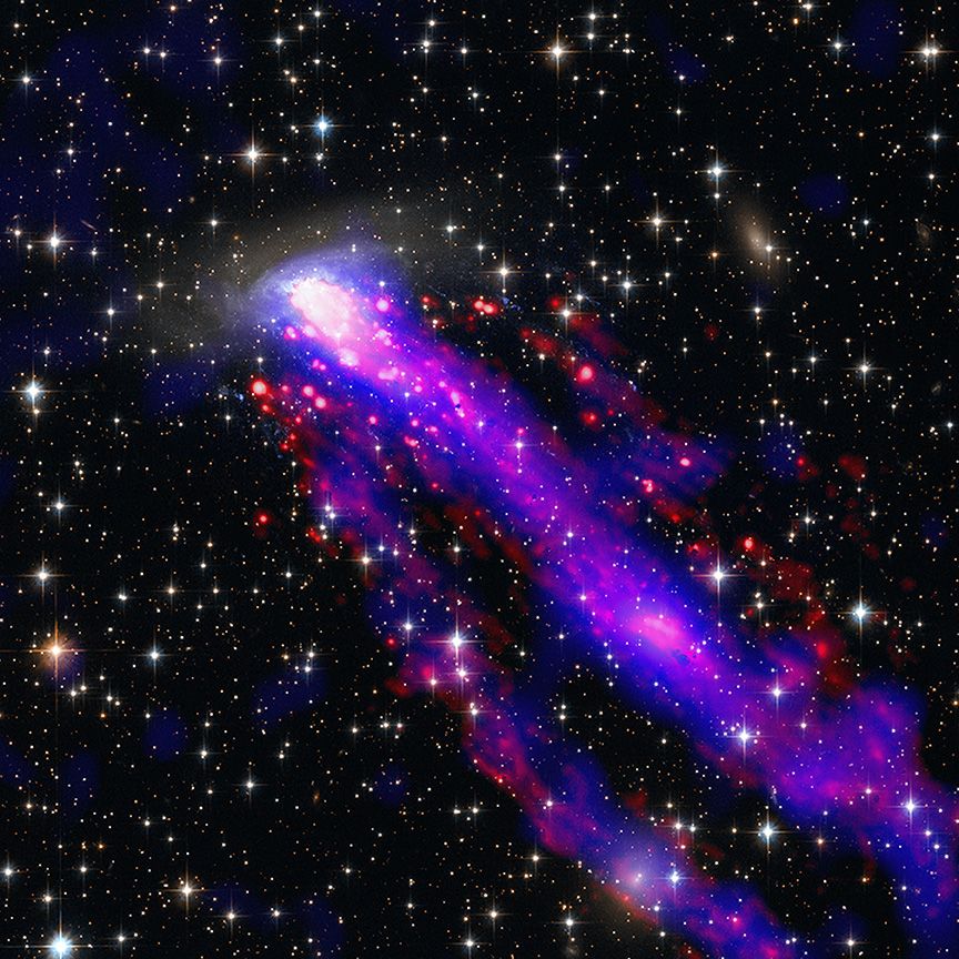 Die Galaxie ESO 137-001. (Credits: NASA / CXC / SAO, JPL-Caltech, MSFC, STScI, ESA / CSA, SDSS, ESO)