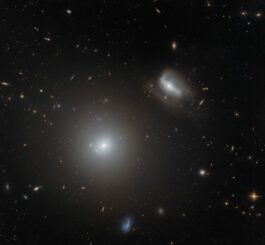 Hubble-Aufnahme der Galaxien NGC 3558 und LEDA 83465. (Credits: ESA / Hubble & NASA, M. West)
