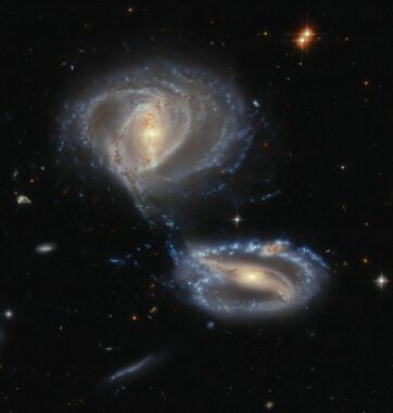 Arp-Madore 2339-661, basierend auf Daten des Weltraumteleskops Hubble und der Dark Energy Cam am Victor M Blanko 4-Meter-Teleskop. (Credits: ESA / Hubble & NASA, J. Dalcanton, Dark Energy Survey / DOE / FNAL / NOIRLab / NSF / AURA; Acknowledgement: L. Shatz)