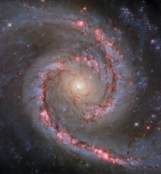 Hubble-Aufnahme der Spiralgalaxie NGC 1566. (Credits: ESA / Hubble & NASA, D. Calzetti and the LEGUS team, R. Chandar)