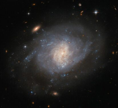 Hubble-Aufnahme der Spiralgalaxie NGC 941. (Credits: ESA / Hubble & NASA, C. Kilpatrick) Hubble-Aufnahme der Spiralgalaxie NGC 941. (Credits: ESA / Hubble & NASA, C. Kilpatrick)