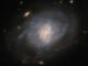 Hubble-Aufnahme der Spiralgalaxie NGC 941. (Credits: ESA / Hubble & NASA, C. Kilpatrick)
