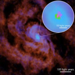 ALMA-Aufnahme der Zentralregion der Circinus-Galaxie. (Credit: ALMA (ESO / NAOJ / NRAO), T. Izumi et al.))