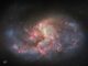 Hubble-Aufnahme der Balkenspiralgalaxie NGC 1385. (Credits: ESA / Hubble & NASA, R. Chandar, J. Lee and the PHANGS-HST team)