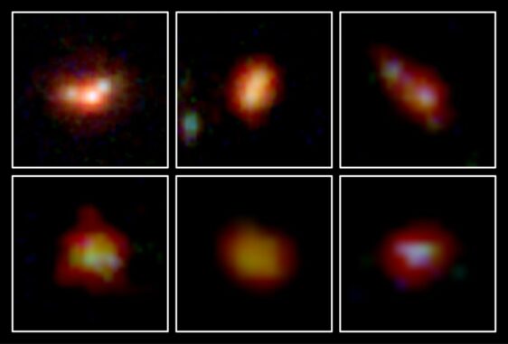 Infrarotaufnahmen des JWST von sechs Galaxien, die 500-700 Millionen Jahre nach dem Urknall existierten. (Credit: NASA, ESA, CSA, K. Nakajima et al.)
