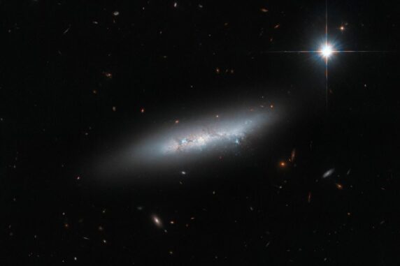 Hubble-Aufnahme der irregulären Galaxie NGC 2814. (Credits: ESA / Hubble & NASA, C. Kilpatrick)