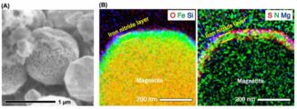 A: Magnetitteilchen in Proben des Asteroiden Ryugu. B: Schnitt durch das Magnetit. Die Verteilung der Elemente Sauerstoff, Eisen und Silizium ist auf dem mittlerem Bild durch die Farben Rot, Grün und Blau gekennzeichnet. Rechts ist Schwefel (Rot), Stickstoff (Grün) und Magnesium (Blau) dargestellt. (Credit: KyotoU / Toru Matsumoto)