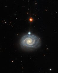 Hubble-Aufnahme der Spiralgalaxie MCG-01-24-014. (Credits: ESA / Hubble & NASA, C. Kilpatrick)