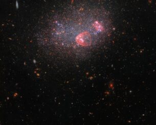 Hubble-Aufnahme der irregulären Zwerggalaxie UGC 8091. (Credits: ESA / Hubble, NASA, ESA, Yumi Choi (NSF's NOIRLab), Karoline Gilbert (STScI), Julianne Dalcanton (Center for Computational Astrophysics / Flatiron Inst., UWashington)